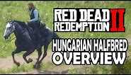 Hungarian Halfbred Overview | Red Dead Redemption 2 Horses