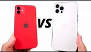 iPhone 12 vs iPhone 12 Pro Max - Which is Better?