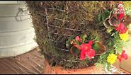 How to Make a Moss Hanging Garden Basket with Lisa