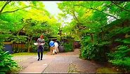 Kyoto walk - THE SODOH HIGASHIYAMA KYOTO (ザ ソウドウ 東山 京都) - 4K