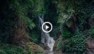 فیلمی از زیبایی های طبیعت | قدم به دنیایی آرام و زیبا | ویدیو HD