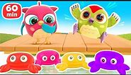 Baby cartoons & baby videos - Hop Hop the owl full episodes cartoons for kids - Toys and colors