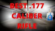 Anschutz 9015 ONE Target Air Rifle. Best .177 Caliber Rifle