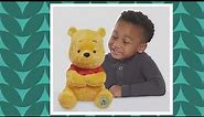 95th Anniversary Winnie the Pooh Collector Plush Bear on QVC