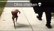 Ohio Chicken 💀