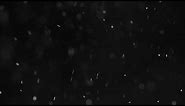 Royality free video || White particles with black background