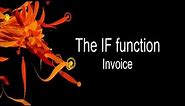 Formulas and Functions in an Invoice