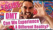 DMT - Can We Experience A Different Reality? Russell Brand The Trews (E360)
