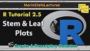 Stem and Leaf Plots in R | R Tutorial 2.5 | MarinStatsLectures