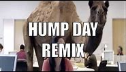 Geico Hump Day Commercial - Happy Camel Dubstep Remix