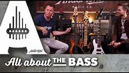 Best 5-String Bass Under £500