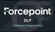 Database Fingerprinting Setup & Demo | 8.7 | Forcepoint DLP