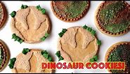 How To Decorate Dinosaur Cookies with Royal Icing and SugarVeil®!