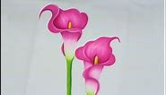 Pintura En Tela Como Pintar Flores Alcatraces Rosas / Painting On Fabric How To Paint Flowers