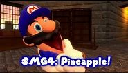 SMG4 - Pineapple on Pizza Joke