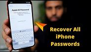 Forgot apple id password? How to recover passwords on iOS with Dr Fone Password Manager