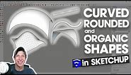 10 Ways to Create Curved, Rounded, and Organic Shapes in SketchUp