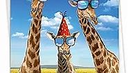 NobleWorks - 1 Adorable Birthday Card Funny - Giraffe Animal Humor, Bday Notecard with Envelope - Cool Giraffes C6335BDG