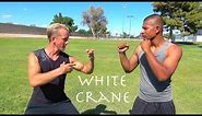 Real White Crane Kung Fu - Top 10 Crane Fighting Moves!