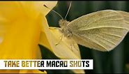 How to take better Macro Photos on the Galaxy S23 Ultra