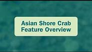 Asian Shore Crab Feature Overview