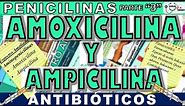 AMOXICILINA PARA QUE SIRVE ESTE MEDICAMENTO (AMOXICILINA Y AMPICILINA) | GuiaMed