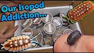Unboxing $1,000 Worth of Isopods!