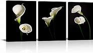 Black and White Flower Wall Art Tulip Lily Floral Picture Poster Calla Lily Canvas Print Botanical Wall Decor for Living Room