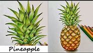 How to Draw a Pineapple || Using Colour Pencils