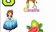 G alphabet words/alphabet words/English alphabet/G/letter G/vocabulary words/kids education/pukutv95