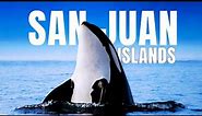 The ULTIMATE Travel Guide to the San Juan Islands WA
