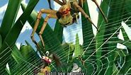 The Ant Bully (Animated Short) - World Wild Web