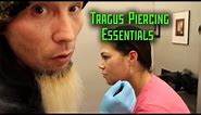Tragus Piercing Essentials- THE MODIFIED WORLD