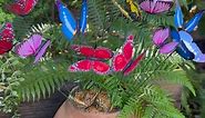 #butterflies Terracotta Clayworks | Memerambi springs