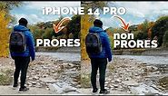 iPhone14Pro: ProRes vs Non ProRes | Can YOU Tell the Difference?!