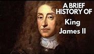 A Brief history of King James II, 1685-1688