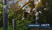 Super Typhoon Saola: Hong Kong issues highest T10 storm signal, first since 2018 | Hong Kong Free Press HKFP