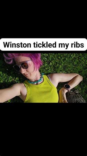 7.5K views · 297 reactions | Winston nudged my ribs and it tickled. You know the kind of tickle you get as a child that makes you kick? That kind of tickle and he does it a lot 藍 . I don't think he realizes though lol. He wanted me to move which is why he was nudging me. He didn't feel like climbing over, he wanted me to get out of his way. | Winston the Tegu | Facebook