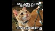 Funny Christmas Memes (Part 2)