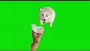 Cat Gags Over Yoghurt Meme Green Screen Template