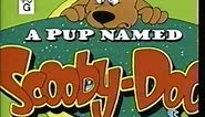A Pup Named Scooby-Doo Theme/Credits (Boomerang)