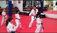 Master Moon's Tae Kwon Do - Kids Class