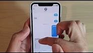 iOS 13 Feature: How to Search For Text in iMessage (It Works)