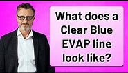 What does a Clear Blue EVAP line look like?