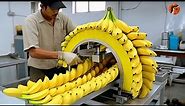 Modern Food Processing Machines operating at an Insane Level ▶3