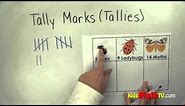 Counting with tally marks or tallies, Kinder, 1st, 2nd grades math video