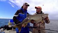 Lake Trout Length To Weight Conversion Chart - In-Fisherman