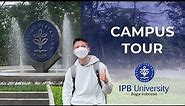 IPB UNIVERSITY? TAMPILAN TERBARU 2023 | INSTITUT PERTANIAN BOGOR