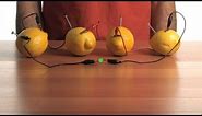 Fruit-Power Battery - Sick Science! #080