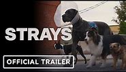 Strays - Official Trailer (2023) | First Look & Teaser Release Date and Cast